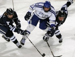 关于365login的信息